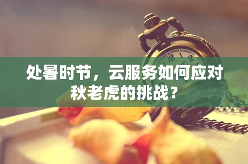 处暑时节，云服务如何应对秋老虎的挑战？