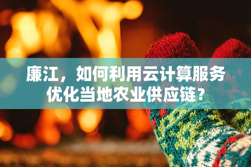 廉江，如何利用云计算服务优化当地农业供应链？