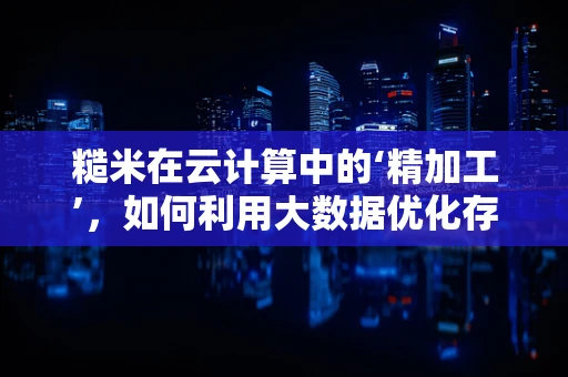 糙米在云计算中的‘精加工’，如何利用大数据优化存储与处理？