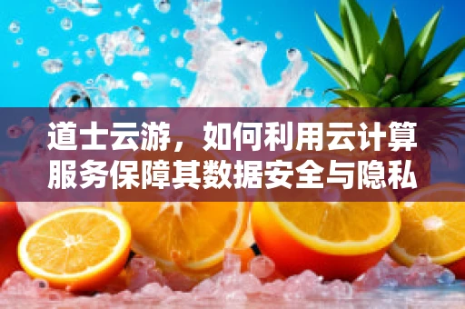 道士云游，如何利用云计算服务保障其数据安全与隐私？