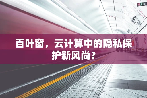 百叶窗，云计算中的隐私保护新风尚？