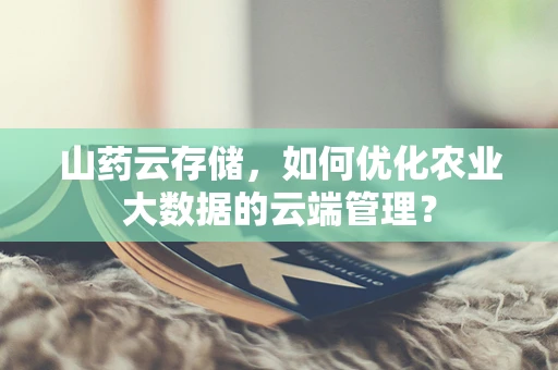 山药云存储，如何优化农业大数据的云端管理？