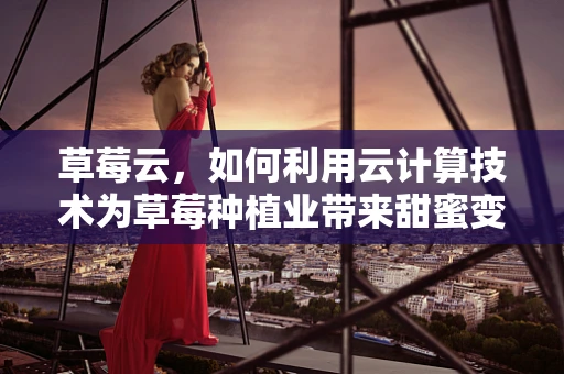 草莓云，如何利用云计算技术为草莓种植业带来甜蜜变革？