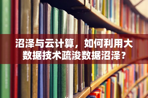 沼泽与云计算，如何利用大数据技术疏浚数据沼泽？