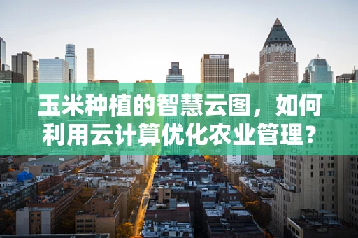 玉米种植的智慧云图，如何利用云计算优化农业管理？