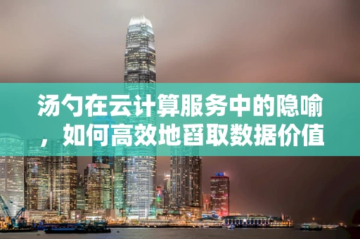 汤勺在云计算服务中的隐喻，如何高效地舀取数据价值？