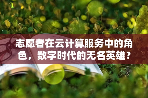 志愿者在云计算服务中的角色，数字时代的无名英雄？