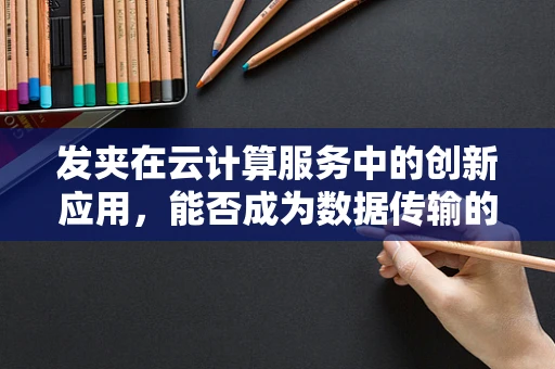 发夹在云计算服务中的创新应用，能否成为数据传输的‘隐形桥梁’？