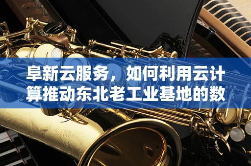 阜新云服务，如何利用云计算推动东北老工业基地的数字化转型？