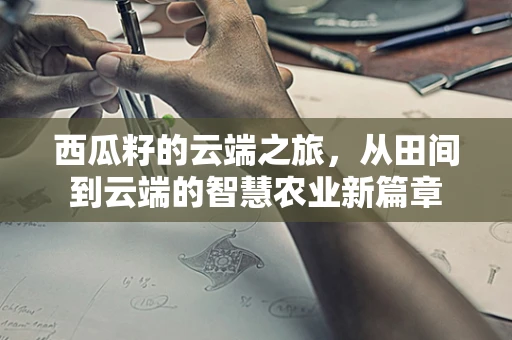 西瓜籽的云端之旅，从田间到云端的智慧农业新篇章