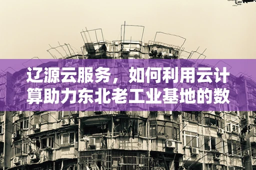 辽源云服务，如何利用云计算助力东北老工业基地的数字化转型？