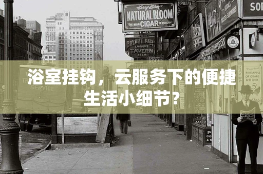 浴室挂钩，云服务下的便捷生活小细节？