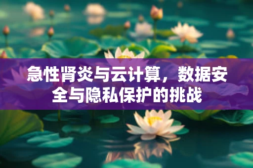 急性肾炎与云计算，数据安全与隐私保护的挑战