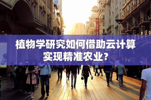 植物学研究如何借助云计算实现精准农业？
