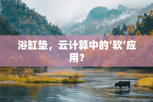 浴缸垫，云计算中的‘软’应用？