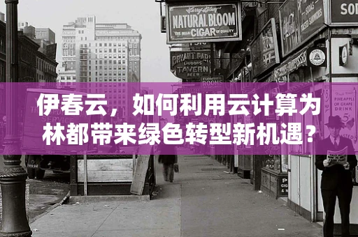 伊春云，如何利用云计算为林都带来绿色转型新机遇？