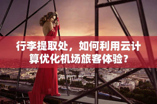 行李提取处，如何利用云计算优化机场旅客体验？