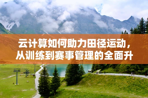 云计算如何助力田径运动，从训练到赛事管理的全面升级？