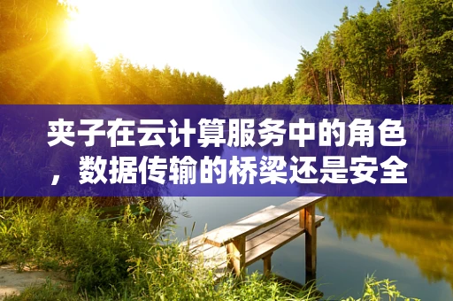 夹子在云计算服务中的角色，数据传输的桥梁还是安全风险的隐患？