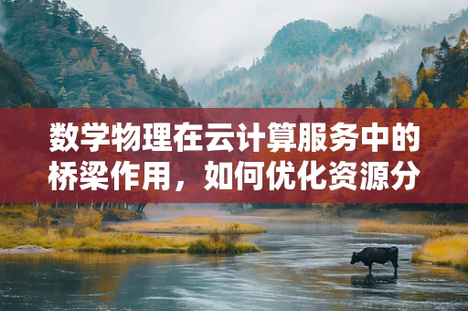 数学物理在云计算服务中的桥梁作用，如何优化资源分配？
