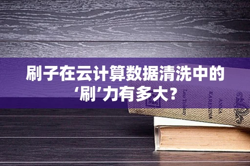 刷子在云计算数据清洗中的‘刷’力有多大？