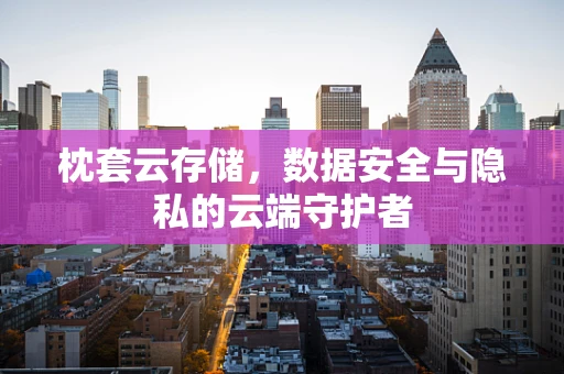 枕套云存储，数据安全与隐私的云端守护者