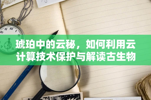 琥珀中的云秘，如何利用云计算技术保护与解读古生物信息？