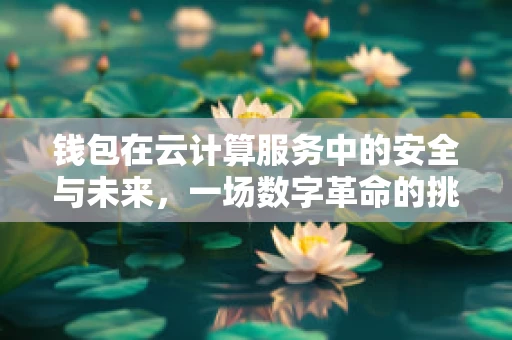 钱包在云计算服务中的安全与未来，一场数字革命的挑战？