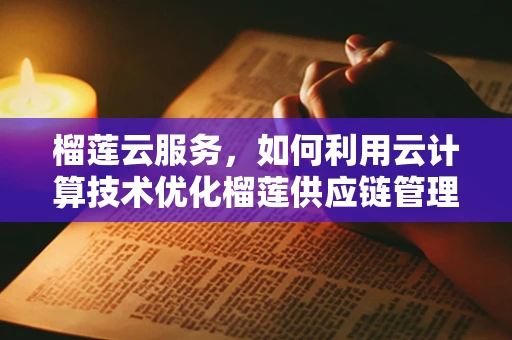 榴莲云服务，如何利用云计算技术优化榴莲供应链管理？