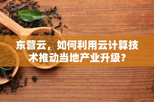东营云，如何利用云计算技术推动当地产业升级？