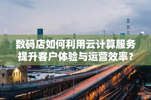 数码店如何利用云计算服务提升客户体验与运营效率？
