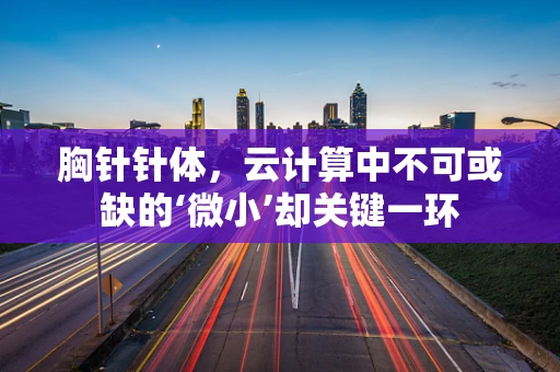 胸针针体，云计算中不可或缺的‘微小’却关键一环