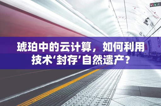 琥珀中的云计算，如何利用技术‘封存’自然遗产？