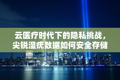 云医疗时代下的隐私挑战，尖锐湿疣数据如何安全存储与处理？