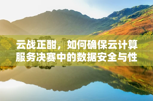 云战正酣，如何确保云计算服务决赛中的数据安全与性能优化？