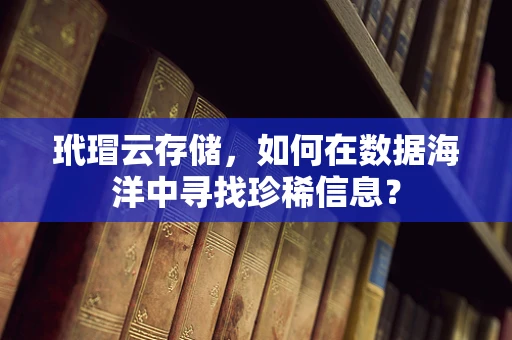 玳瑁云存储，如何在数据海洋中寻找珍稀信息？