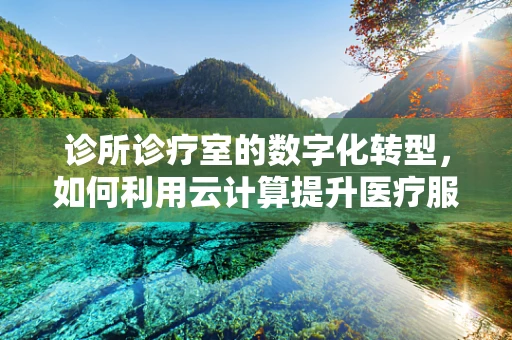 诊所诊疗室的数字化转型，如何利用云计算提升医疗服务效率？