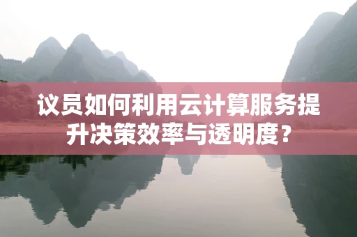 议员如何利用云计算服务提升决策效率与透明度？