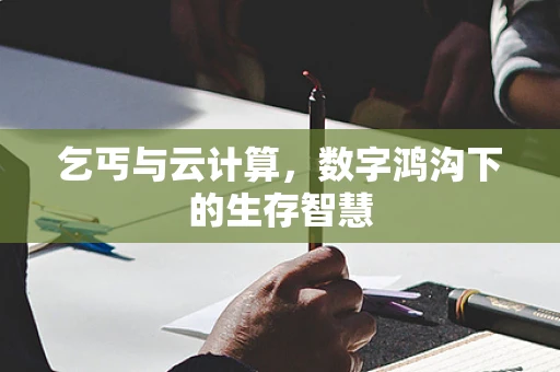 乞丐与云计算，数字鸿沟下的生存智慧