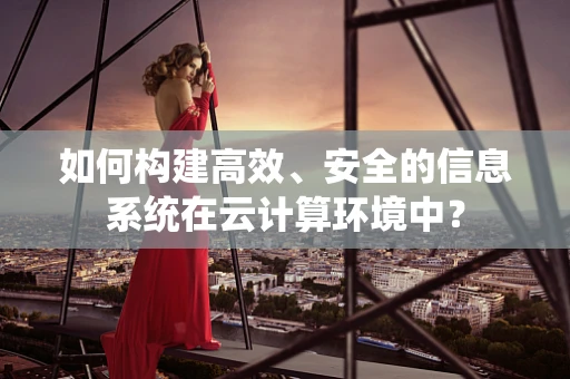 如何构建高效、安全的信息系统在云计算环境中？
