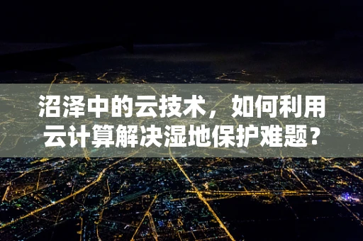 沼泽中的云技术，如何利用云计算解决湿地保护难题？