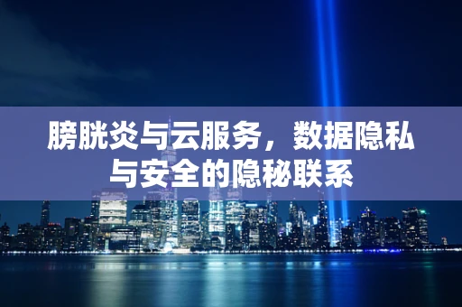 膀胱炎与云服务，数据隐私与安全的隐秘联系