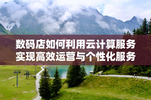 数码店如何利用云计算服务实现高效运营与个性化服务？