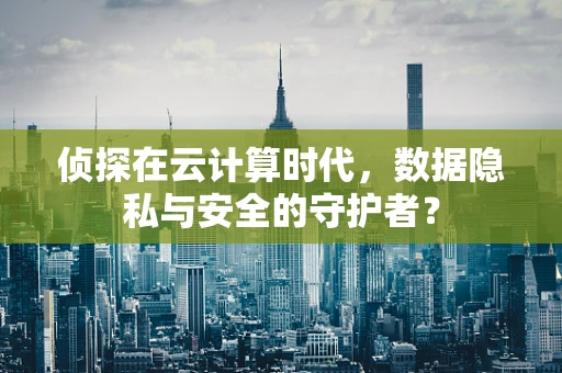 侦探在云计算时代，数据隐私与安全的守护者？