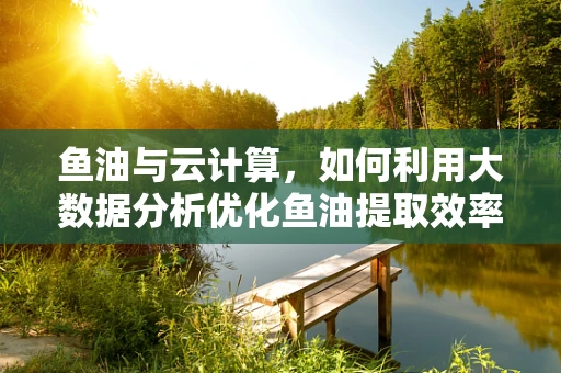 鱼油与云计算，如何利用大数据分析优化鱼油提取效率？