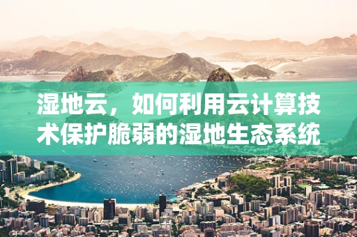 湿地云，如何利用云计算技术保护脆弱的湿地生态系统？