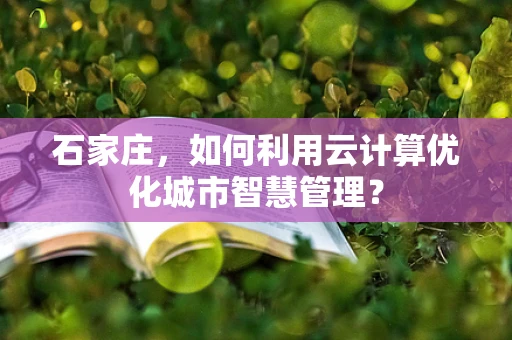 石家庄，如何利用云计算优化城市智慧管理？