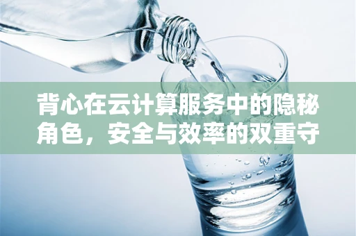 背心在云计算服务中的隐秘角色，安全与效率的双重守护者？