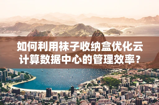 如何利用袜子收纳盒优化云计算数据中心的管理效率？