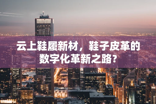 云上鞋履新材，鞋子皮革的数字化革新之路？